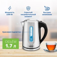 Чайник ZELMER ZCK7924 INOX