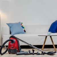 Пылесос Zelmer Adas ZVC323PB красный