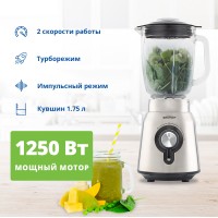 Блендер стационарный ZELMER ZSB4850 INOX
