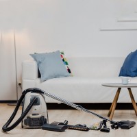 Пылесос Zelmer Adas ZVC316BB бежевый