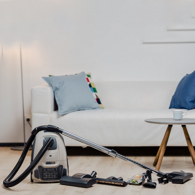 Пылесос Zelmer Adas ZVC316BB бежевый