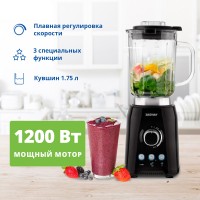 Блендер стационарный ZELMER ZSB4799B PIANO BLACK