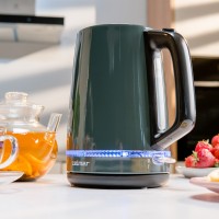 Чайник ZELMER ZCK7921G Grey