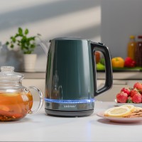 Чайник ZELMER ZCK7921G Grey