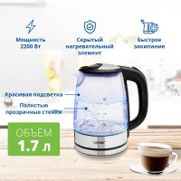 Чайник ZELMER ZCK8024 GLASS/INOX