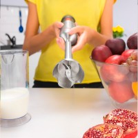 Блендер погружной ZELMER ZHB4652 VARIO