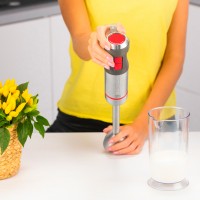 Блендер погружной ZELMER ZHB4652 VARIO