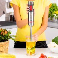 Блендер погружной ZELMER ZHB4652 VARIO