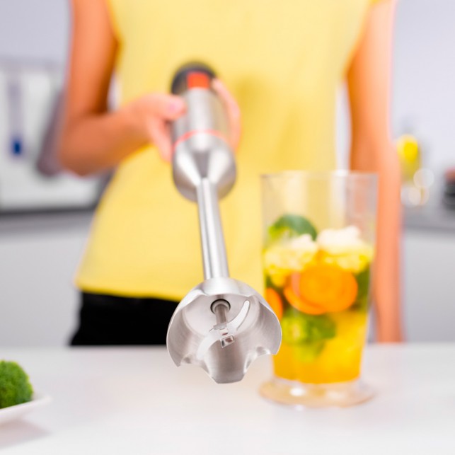 Блендер погружной ZELMER ZHB4652 VARIO