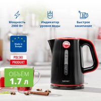 Чайник ZELMER ZCK7620R BLACK/RED