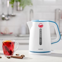 Чайник ZELMER ZCK7620B