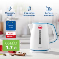 Чайник ZELMER ZCK7620B