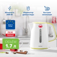 Чайник ZELMER ZCK7620G