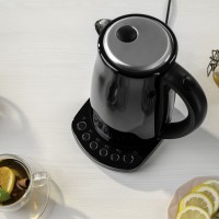 Чайник ZELMER ZCK8023B BLACK